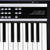 Logo di Korg X50