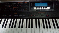 ROLAND G800 ARRANGER OTTIMO STATO