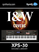 LDX313 - I&W Covers - XPS-30