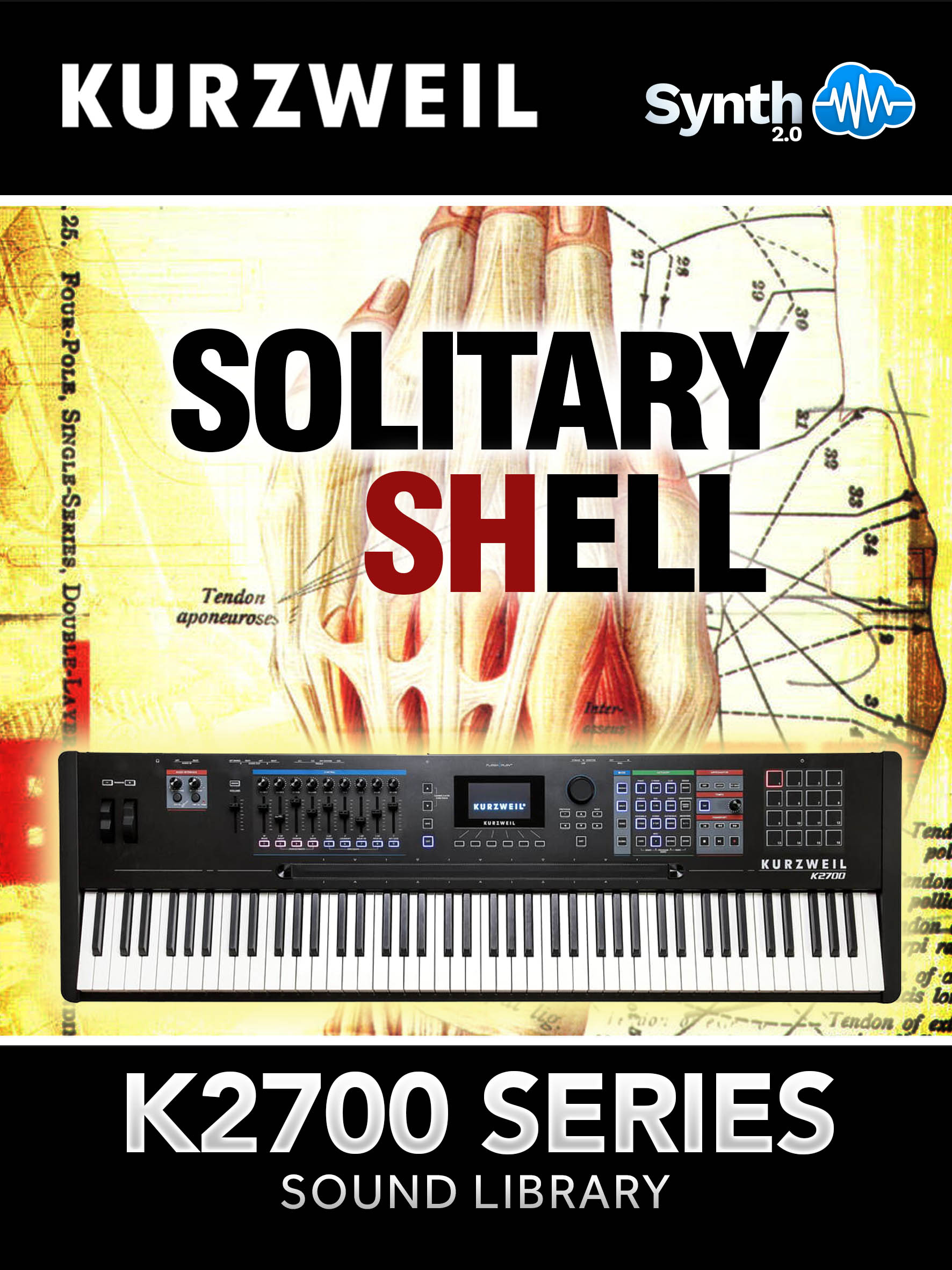 K27032 - Solitary Shell - Kurzweil K2700
